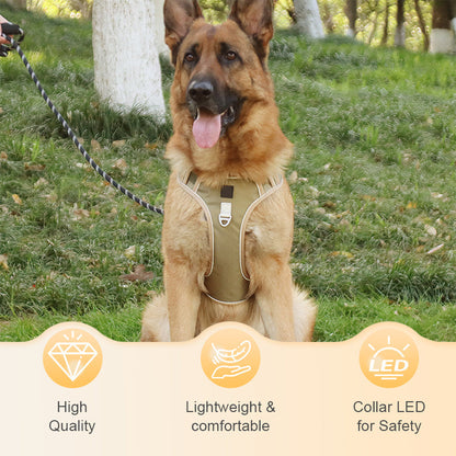 🐕 50% RABATT! ✨ Hundegeschirr ohne Zugkraft mit Leine und LED-Halsband – Vorderer D-Ring, Reflektierend, Verstellbar 🦮