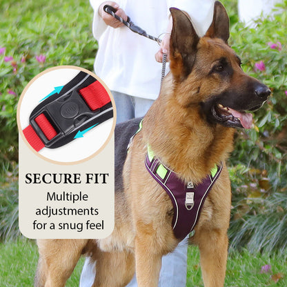 🐕 50% RABATT! ✨ Hundegeschirr ohne Zugkraft mit Leine und LED-Halsband – Vorderer D-Ring, Reflektierend, Verstellbar 🦮