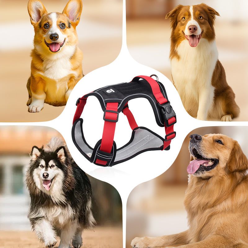 🐕 50% RABATT! ✨ Hundegeschirr ohne Zugkraft mit Leine und LED-Halsband – Vorderer D-Ring, Reflektierend, Verstellbar 🦮