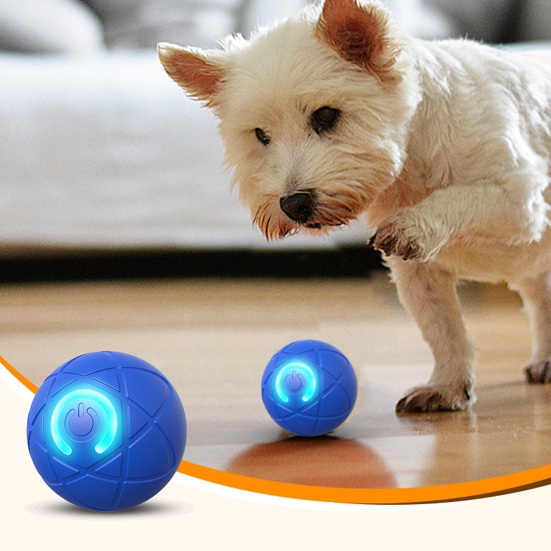 🐶 50% RABATT! ⚽ Interaktiver Hüpfball für Hunde – Fördert Bewegung & Spieltrieb, Robust, Sicher & Ideal Für Drinnen & Draußen 🏡