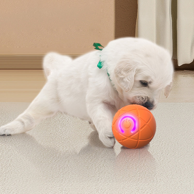🐶 50% RABATT! ⚽ Interaktiver Hüpfball für Hunde – Fördert Bewegung & Spieltrieb, Robust, Sicher & Ideal Für Drinnen & Draußen 🏡