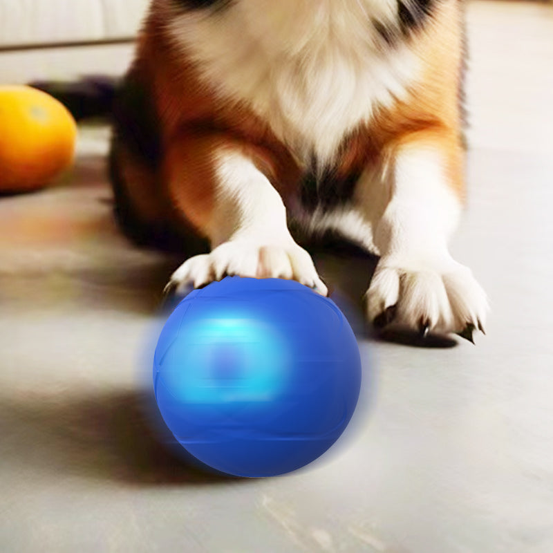 🐶 50% RABATT! ⚽ Interaktiver Hüpfball für Hunde – Fördert Bewegung & Spieltrieb, Robust, Sicher & Ideal Für Drinnen & Draußen 🏡