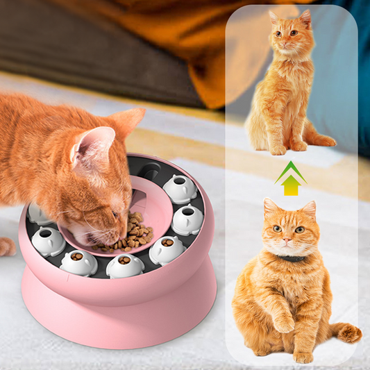 🐱 50% RABATT! 🧩 Puzzle-Futterschale für Katzen – Fördert langsames Fressen, reduziert Erbrechen & regt den Geist an – rutschfest & leicht zu reinigen 🐾