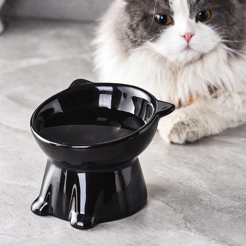 🐱 Erhöhter Kunststoff-Fressnapf für Katzen 🥣 Ergonomisches Design für Komfort beim Fressen