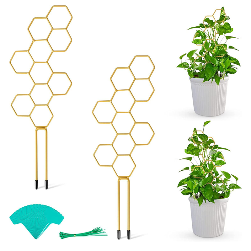 🌿 50% RABATT! 🐝 Waben-Pflanzengitter – Rostfrei, stapelbar & einfache Montage – Perfekt für Kletterpflanzen, Tomaten oder Rankgitter im Beet – sorgt für aufrechtes und gesundes Wachstum 🍅