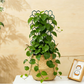 🌿 50% RABATT! 🐝 Waben-Pflanzengitter – Rostfrei, stapelbar & einfache Montage – Perfekt für Kletterpflanzen, Tomaten oder Rankgitter im Beet – sorgt für aufrechtes und gesundes Wachstum 🍅