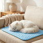 🐶🐱🧊 Sommerangebot! Kühlmatte für Haustiere (ohne Wasser) – Atmungsaktives Oxford-Gewebe, passend für jedes Bett/jede Box