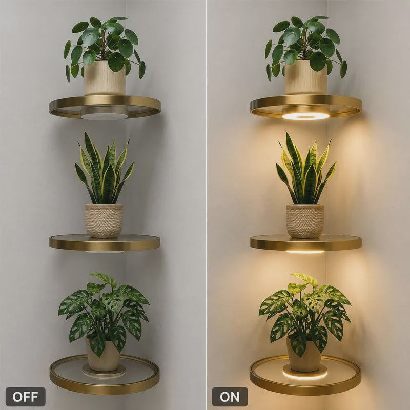 🏠 JETZT 50 % RABATT! 💡 Schwebendes Wandregal mit integrierter LED-Stimmungsbeleuchtung – Moderne Pflanzenpräsentation – Perfekt für Indoor-Gärten und Wohnungen ✨