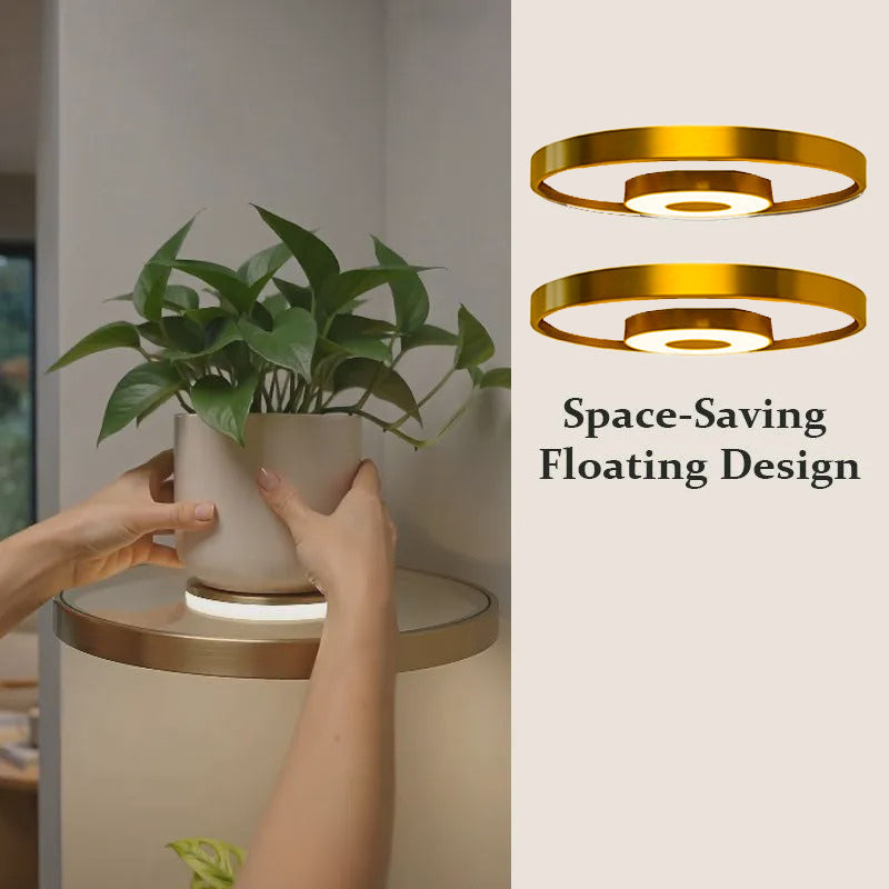 🏠 JETZT 50 % RABATT! 💡 Schwebendes Wandregal mit integrierter LED-Stimmungsbeleuchtung – Moderne Pflanzenpräsentation – Perfekt für Indoor-Gärten und Wohnungen ✨