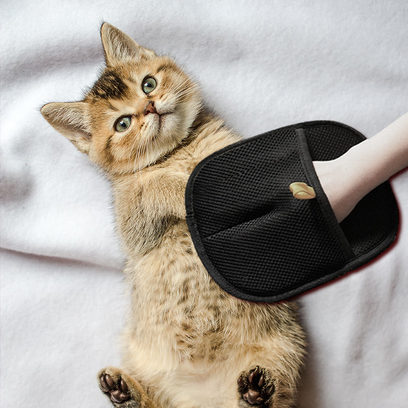 🎉 2026 Sale — Over 27400 Sold! ⏰Reusable Static Pet Hair Removal Gloves｜Multi-Surface Lint Remover ✨