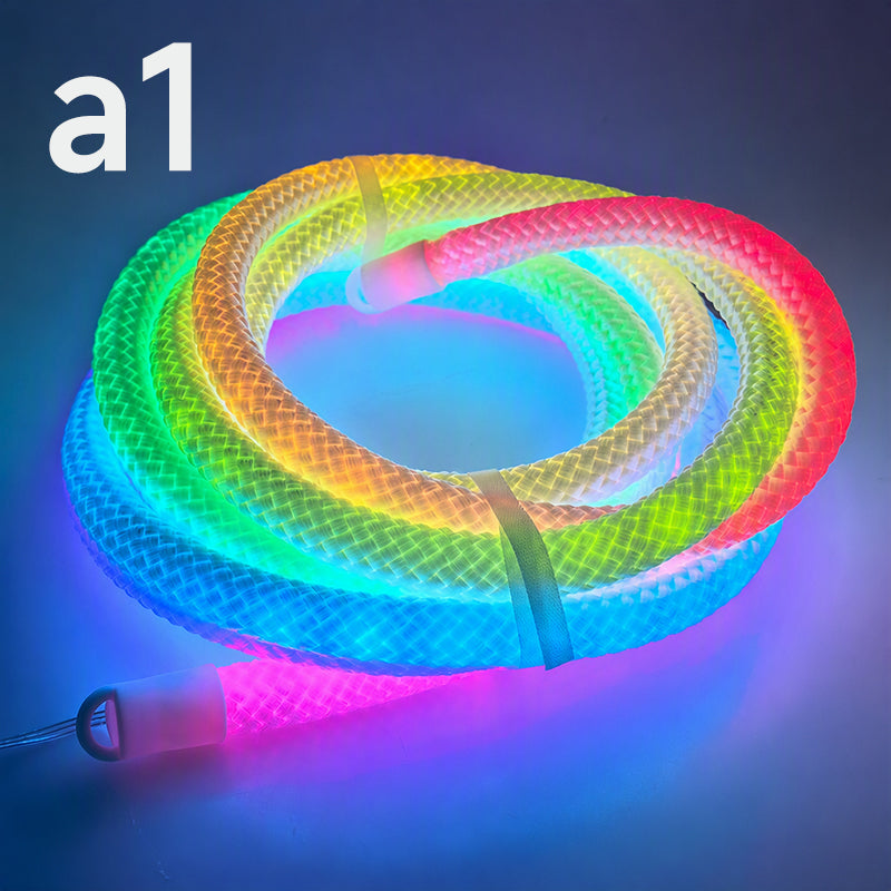 Drachenschuppen-gewebtes LED-Neon-Seilleuchte
