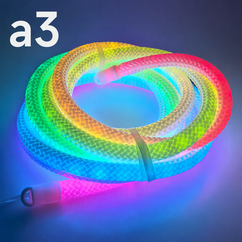 Drachenschuppen-gewebtes LED-Neon-Seilleuchte