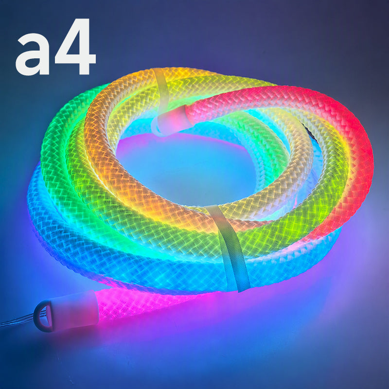Drachenschuppen-gewebtes LED-Neon-Seilleuchte