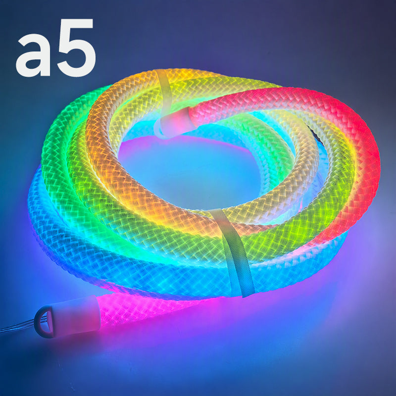 Drachenschuppen-gewebtes LED-Neon-Seilleuchte