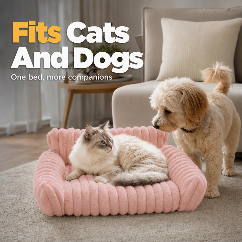 ⏳Zeitlich begrenztes Sonderangebot⏰Gemütliches Sofa-Haustierbett, weiche Polsterung, rutschfester Boden, perfekt für Katzen und Hunde🛋️✨