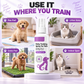 Haustier Toilettentraining-Spray für Hunde & Katzen – Erziehungsspray für Stubenreinheit (100ml)