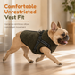 🐶 Wintermantel für Hunde mit integriertem Geschirr – warm, mit Reflektorstreifen, für kleine & mittlere Hunde
