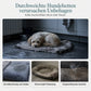 ✨50% RABATT NU! !✨Abnehmbares ovales Haustierbett aus Polar-Fleece und Oxford-Stoff mit feuchtigkeitsabweisender, rutschfester Unterseite und Schwammkissen für Hunde und Katzen