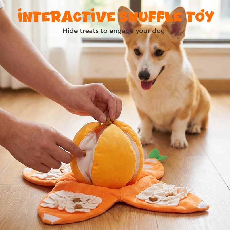 Interaktives Plüsch-Hundespielzeug „Orange“ zum Schnüffeln & Spielen