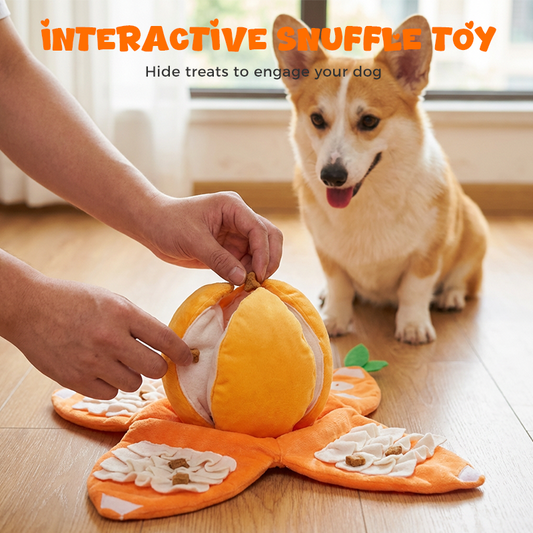 Interaktives Plüsch-Hundespielzeug „Orange“ zum Schnüffeln & Spielen