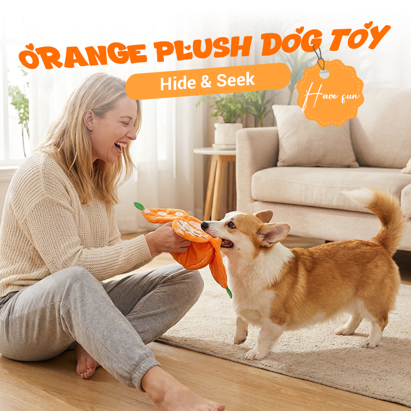 Interaktives Plüsch-Hundespielzeug „Orange“ zum Schnüffeln & Spielen