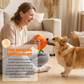 Interaktives Plüsch-Hundespielzeug „Orange“ zum Schnüffeln & Spielen