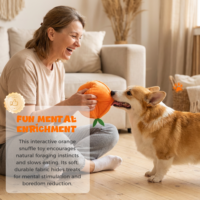 Interaktives Plüsch-Hundespielzeug „Orange“ zum Schnüffeln & Spielen