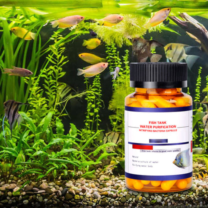 Fish Tank Water Purification Nitrifying Bacteria Capsule